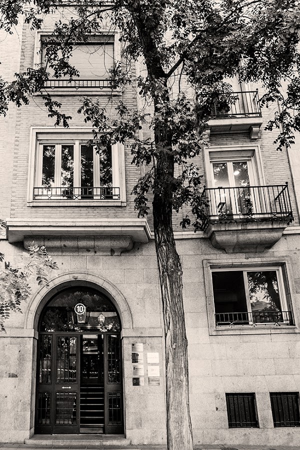 Cinteco Psicólogos Madrid