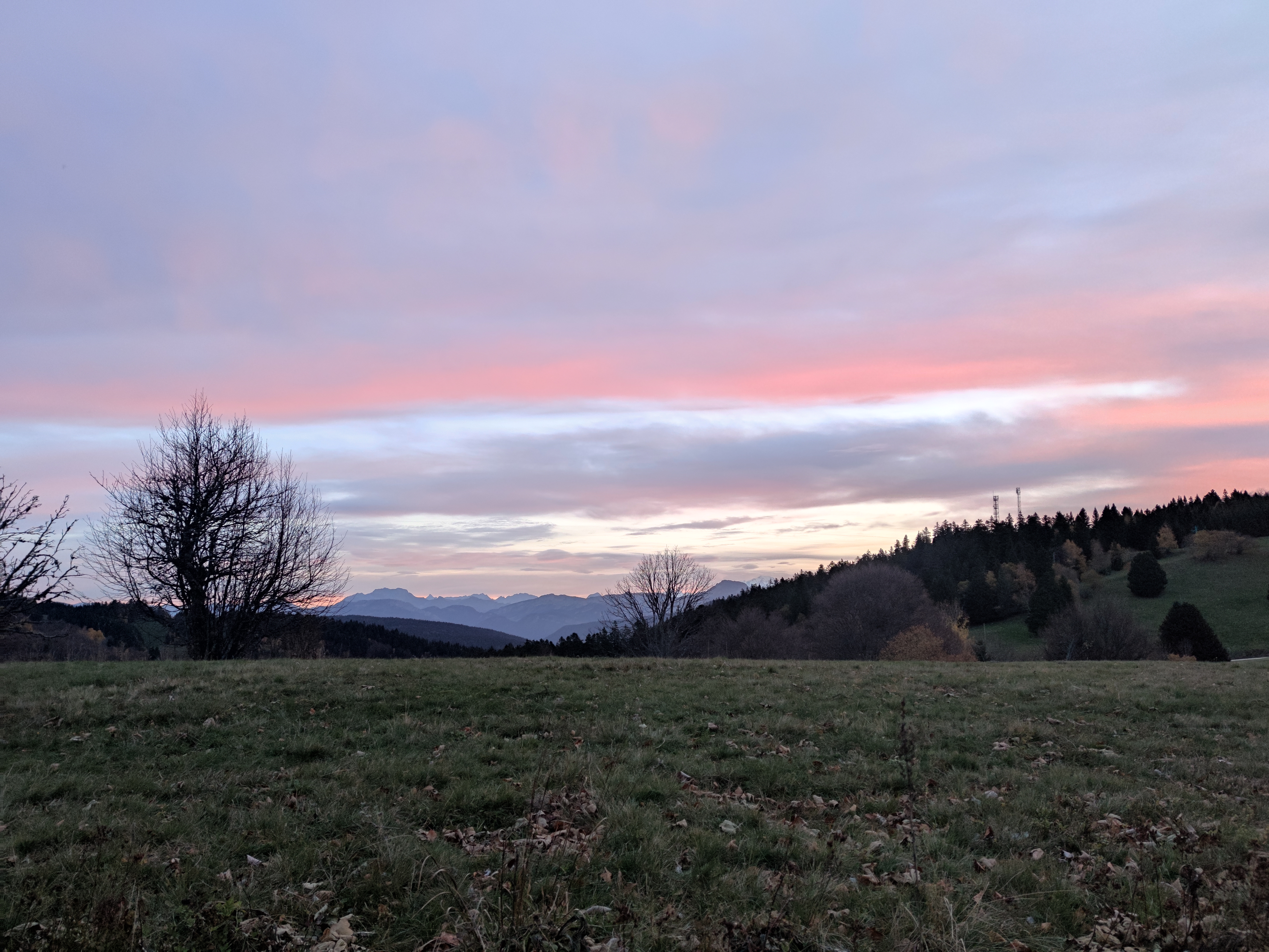 Photo n° 1 de l'avis de Islas.a fait le 02/11/2022 à 12:02