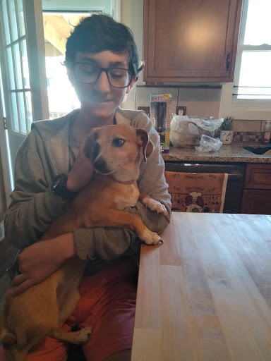 Pet Supply Store «Pet Supplies Plus», reviews and photos, 254 S Illinois Ave, Oak Ridge, TN 37830, USA