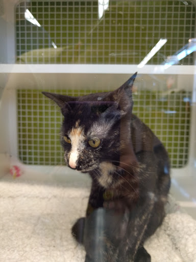 Pet Supply Store «Petco Animal Supplies», reviews and photos, 12444 NW 10th St #301, Yukon, OK 73099, USA