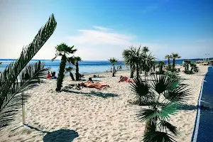 Tropical Beach image