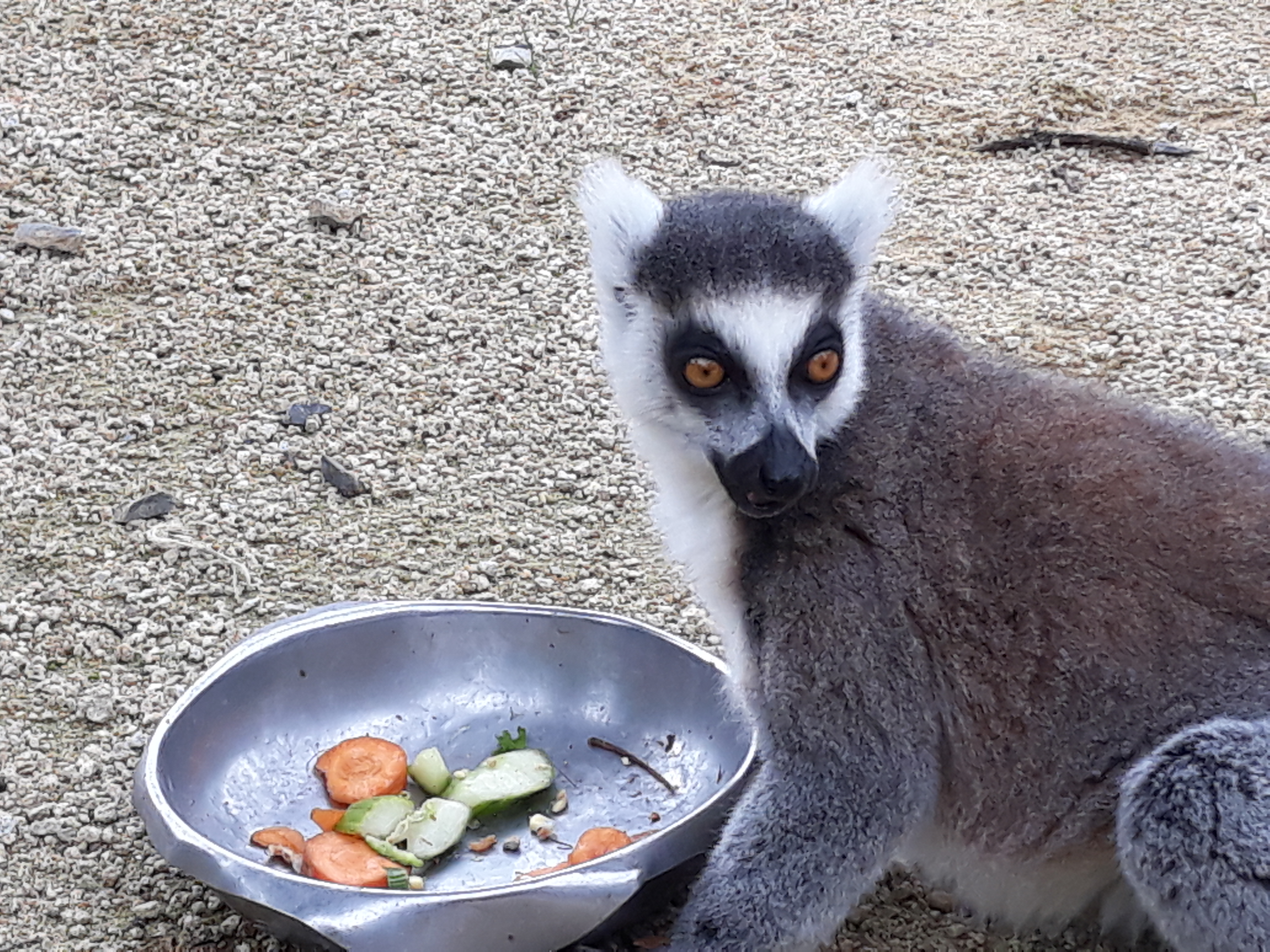Photo n° 1 de l'avis de Christel.e fait le 21/08/2019 à 17:55