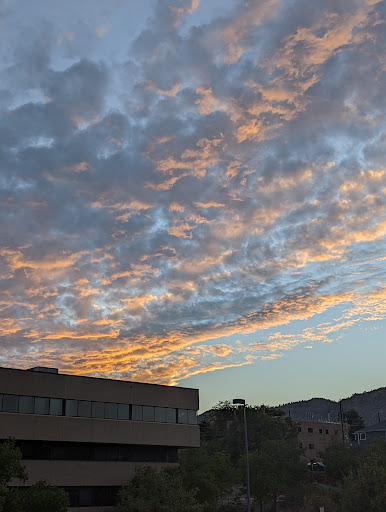 Grocery Store «Safeway», reviews and photos, 1701 Jackson St., Golden, CO 80401, USA