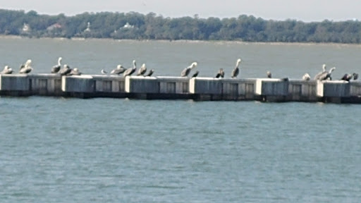 Gift Shop «Harbour Town General Store», reviews and photos, 147 Lighthouse Rd, Hilton Head Island, SC 29928, USA
