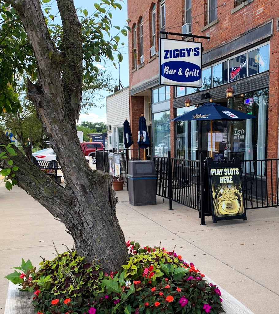 Ziggy's Bar & Grill 61341