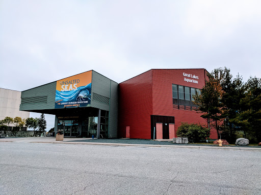 Aquarium «Great Lakes Aquarium», reviews and photos, 353 Harbor Dr, Duluth, MN 55802, USA