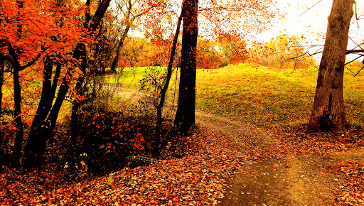 Golf Course «Gunpowder Golf Course», reviews and photos, 14300 Old Gunpowder Rd, Laurel, MD 20707, USA