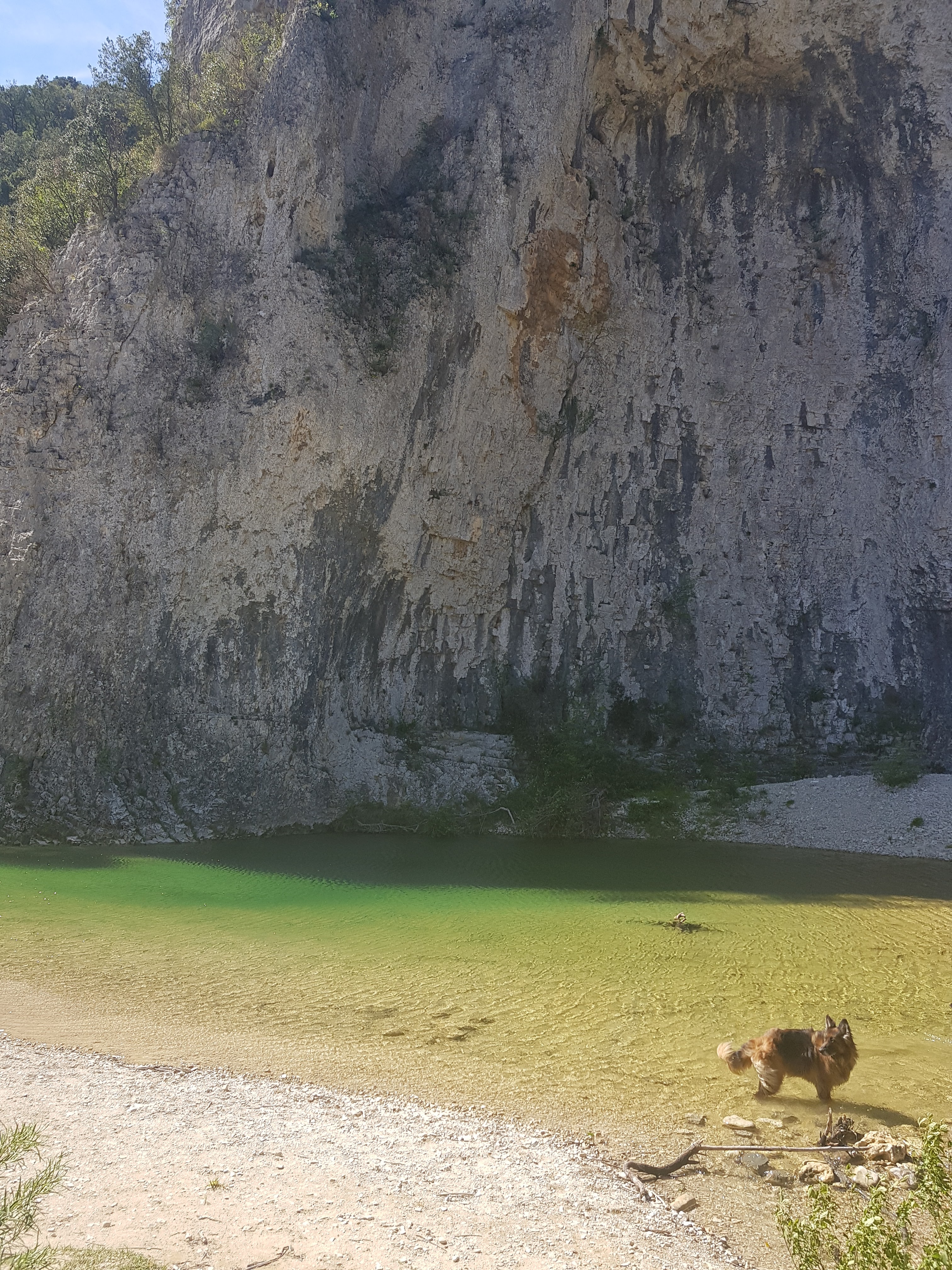 Photo n° 12 de l'avis de Coco.e fait le 21/05/2019 à 12:40