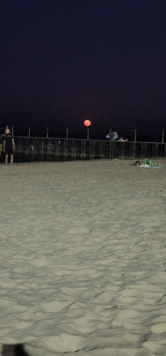 Park «North Shore Beach Park», reviews and photos, 1040 W North Shore Ave, Chicago, IL 60626, USA