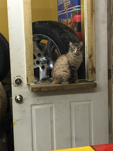 Auto Parts Store «Rockdale Auto Parts & Salvage», reviews and photos, 3886 E Fairview Rd SW, Stockbridge, GA 30281, USA