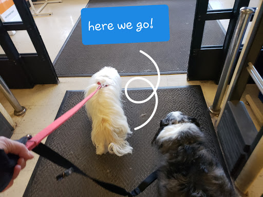 Pet Supply Store «PetSmart», reviews and photos, 8105 Moores Ln Ste 1300, Brentwood, TN 37027, USA