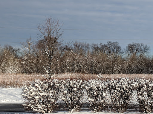 Masonry Supply Store «Frederick Brick Works, Inc.», reviews and photos, 1731 Monocacy Blvd, Frederick, MD 21701, USA
