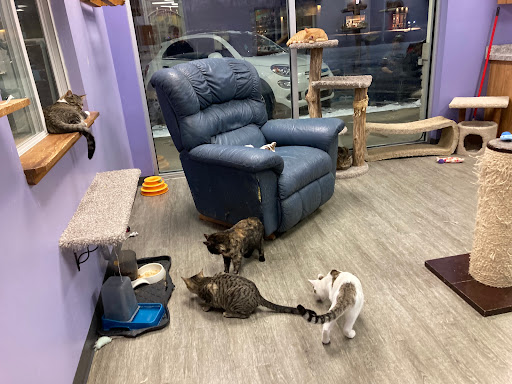 Pet Supply Store «Animal House Pet Supplies», reviews and photos, 733 Phillips Blvd, Sauk City, WI 53583, USA