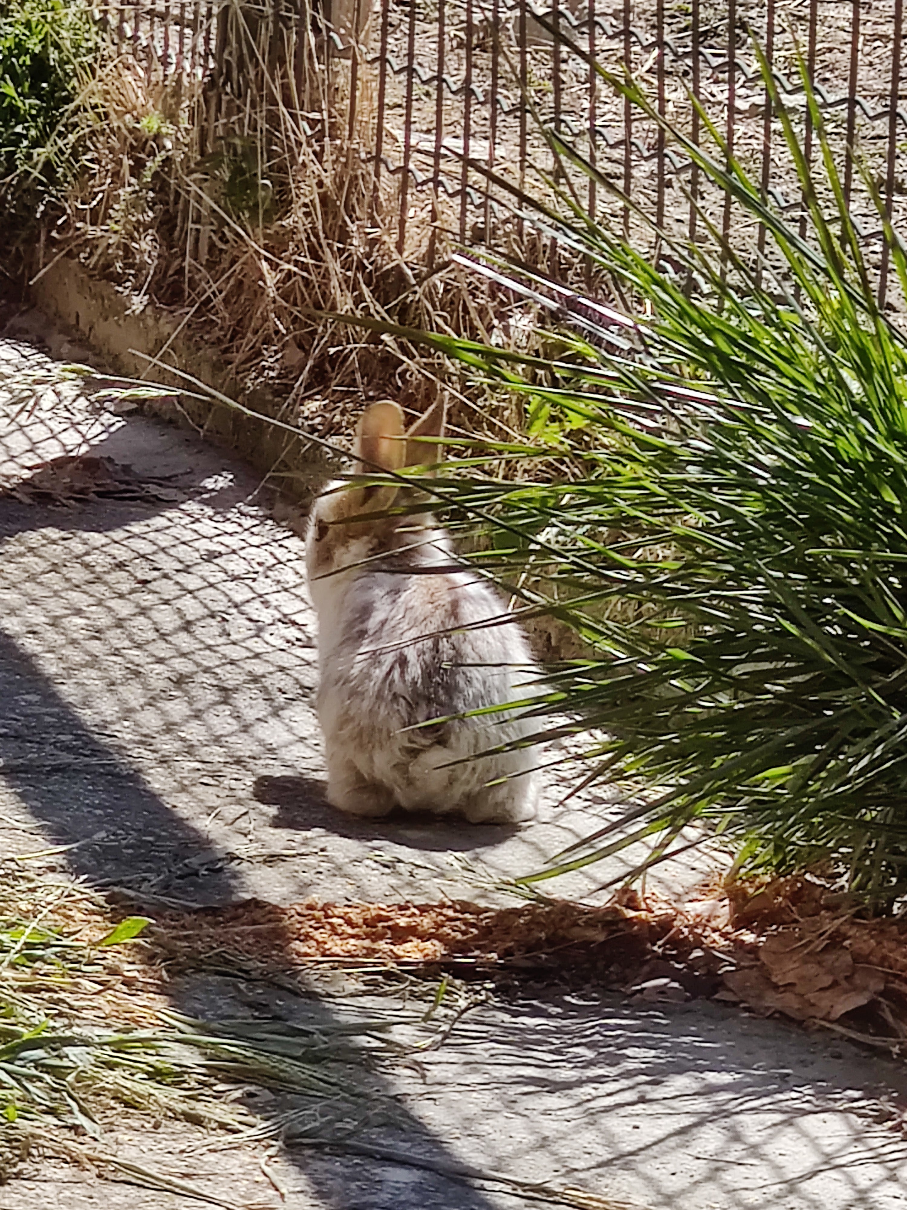 Photo n° 12 de l'avis de Julien.o fait le 14/08/2020 à 12:49