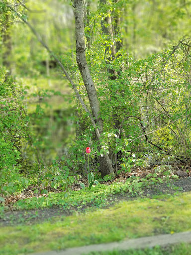 Museum «Barclay Farmstead Museum», reviews and photos, 209 Barclay Ln, Cherry Hill, NJ 08034, USA