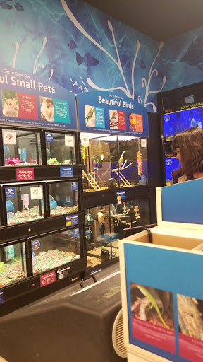 Pet Supply Store «PetSmart», reviews and photos, 1742 E 3rd St, Williamsport, PA 17701, USA