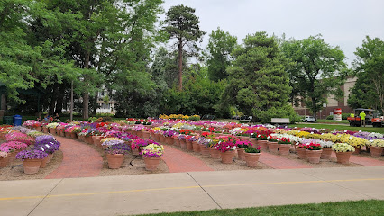 CSU Annual Flower Trial Gardens