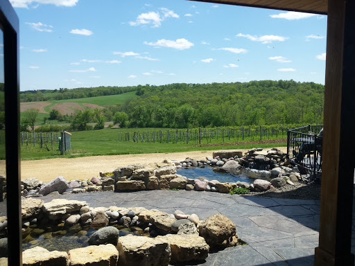 Winery «Fergedaboudit Vineyard & Winery», reviews and photos, 4595 W Speer Rd, Hanover, IL 61041, USA