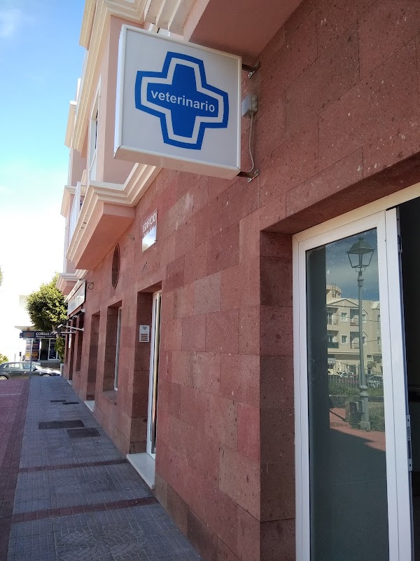 Imagen de Veterinario Tejina Centro Perenquén. (3 de 4)
