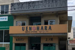 Uenohara image