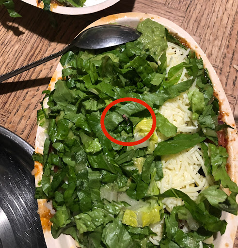 Mexican Restaurant «Chipotle Mexican Grill», reviews and photos, 7440 Laguna Blvd, Elk Grove, CA 95758, USA