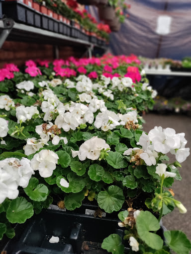 Hardware Store «Tele-Tron Ace Hardware», reviews and photos, 6604 Cermak Rd, Berwyn, IL 60402, USA