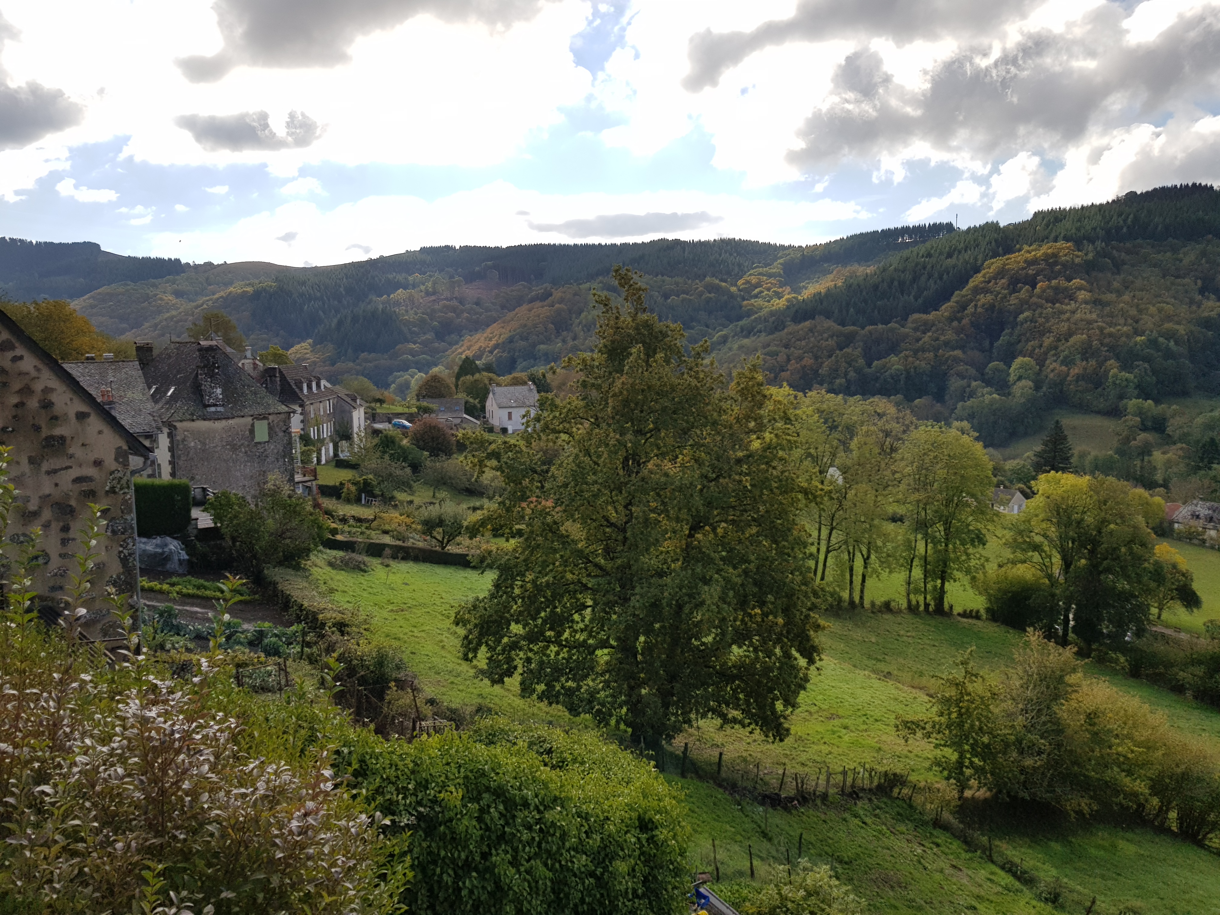 Photo n° 4 de l'avis de Valerie.o fait le 13/10/2020 à 19:37