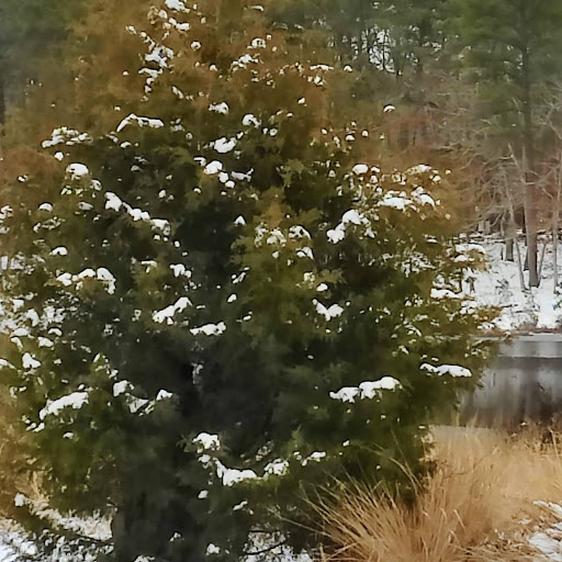 Community Park «Cloverdale Farm County Park», reviews and photos, 34 Cloverdale Rd, Barnegat, NJ 08005, USA