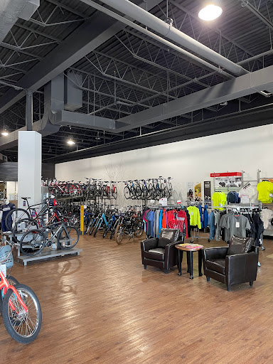 Bicycle Store «Colonial Bicycle Company - Portsmouth», reviews and photos, 775 Lafayette Rd #5, Portsmouth, NH 03801, USA