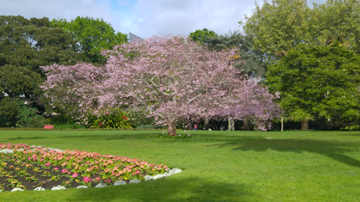 Albert Park