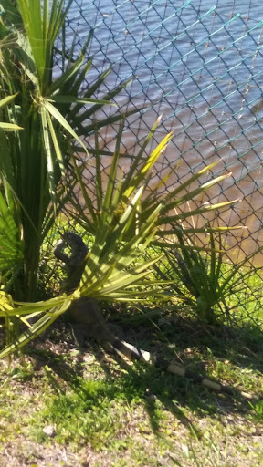 Community Center «Gaines Park Community Center», reviews and photos, 1501 N Australian Ave, West Palm Beach, FL 33401, USA