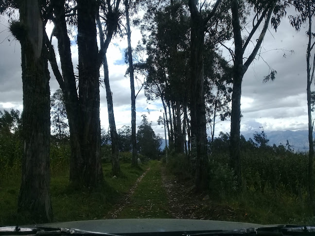 San Cristóbal Alto - Ibarra