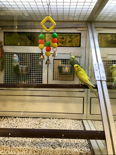 Pet Supply Store «PetSmart», reviews and photos, 3641 Truxel Rd, Sacramento, CA 95834, USA