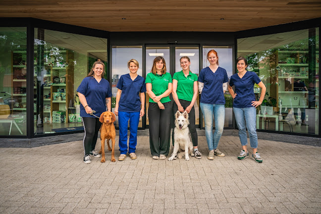 Beoordelingen van Dierenartsencentrum Vetalys in Kortrijk - Dierenarts