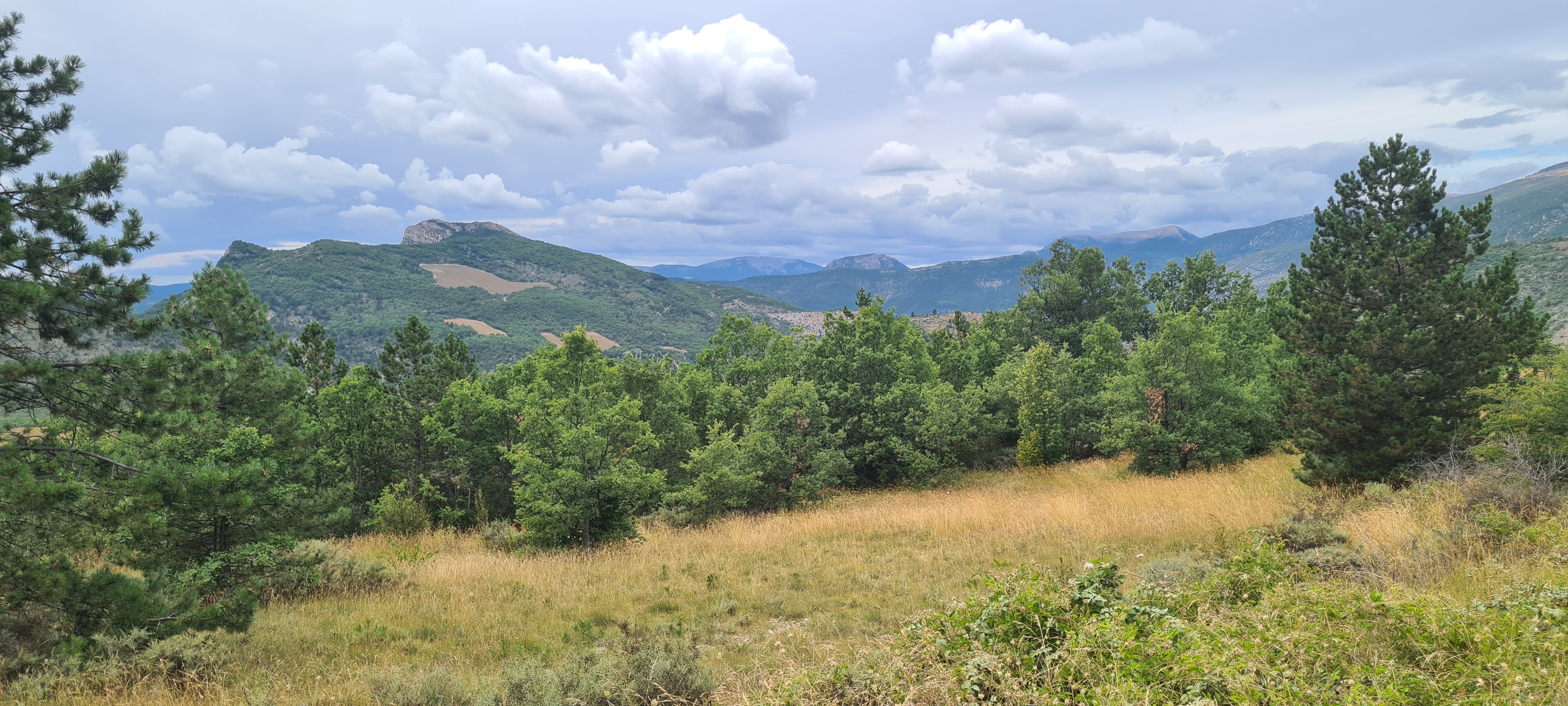 Photo n° 12 de l'avis de Fabien.a fait le 25/07/2023 à 19:28