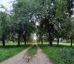 Reißinsel photo