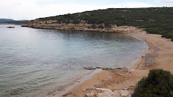 Girlen Plajı'in fotoğrafı vahşi alan