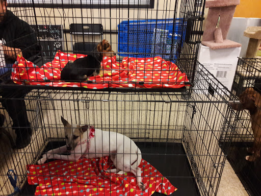 Pet Supply Store «PetSmart», reviews and photos, 261 Spreckels Ave, Manteca, CA 95336, USA