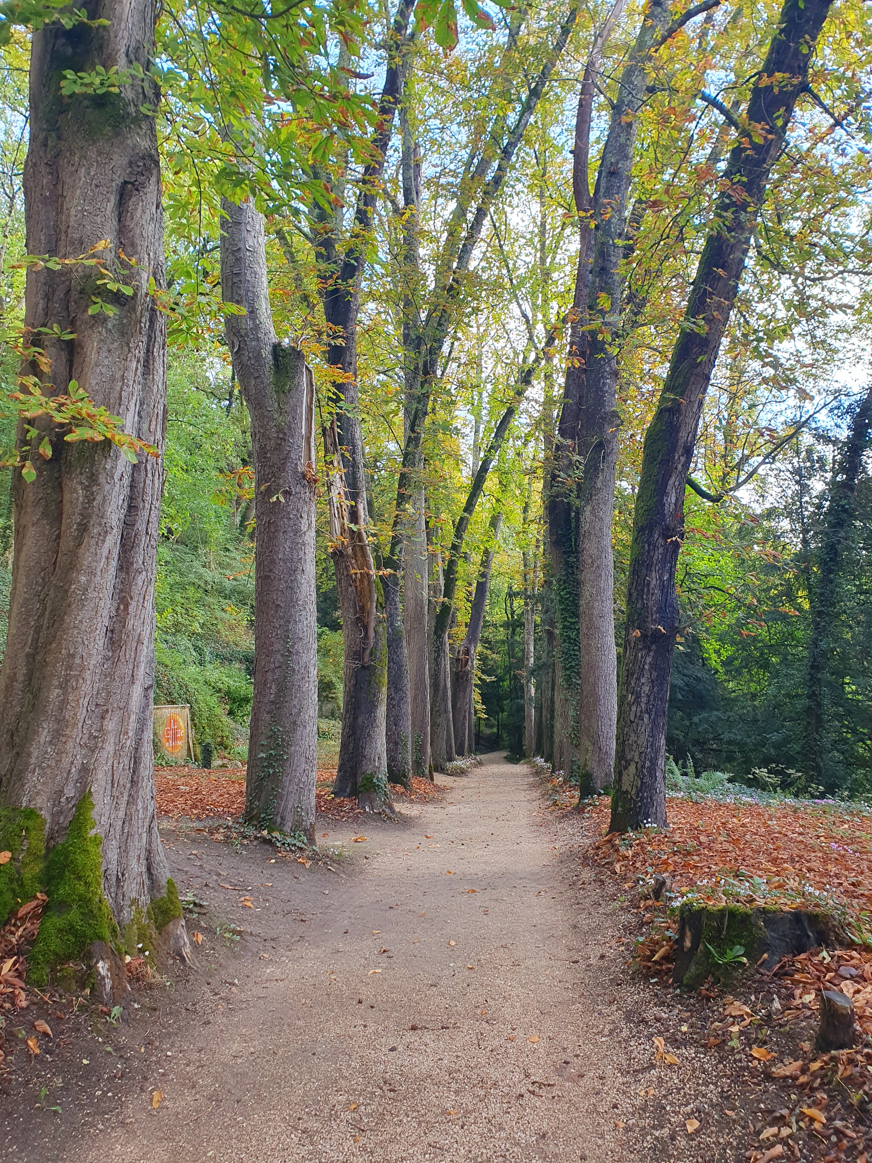 Photo n° 16 de l'avis de Valérie.a fait le 29/10/2023 à 05:20