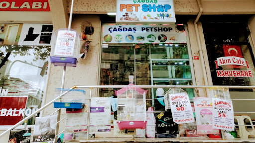 Çağdaş Petshop | Avcılar İstanbul - Evcil hayvan mağazası