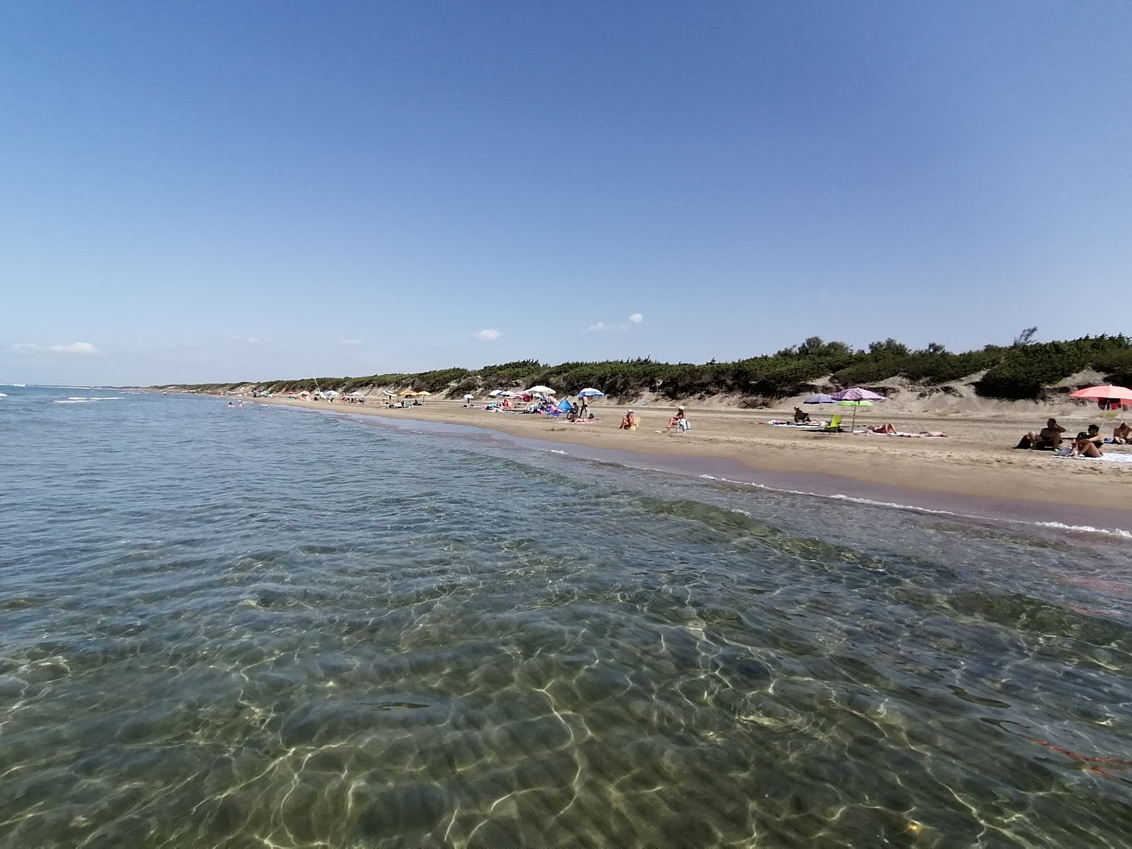 Zdjęcie Spiaggia Sabaudia z powierzchnią brązowy piasek