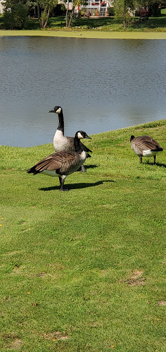 Golf Course «Klein Creek Golf Club», reviews and photos, 1N333 Pleasant Hill Rd, Winfield, IL 60190, USA