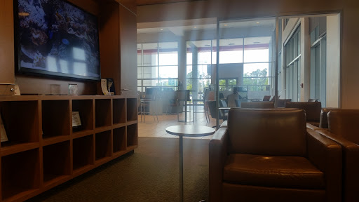 Toyota Dealer «Hendrick Toyota of Wilmington», reviews and photos, 5640 Market St, Wilmington, NC 28405, USA