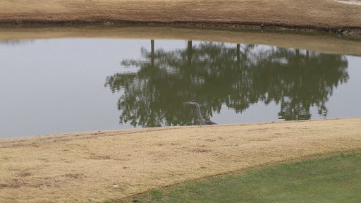 Golf Club «The Hooch Golf Club», reviews and photos, 2705 Peachtree Industrial Blvd, Duluth, GA 30097, USA