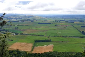 Forest Hill Scenic Reserve image