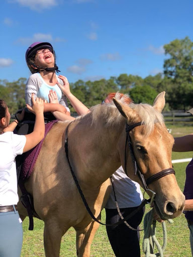 Hopes Dreams and Horses