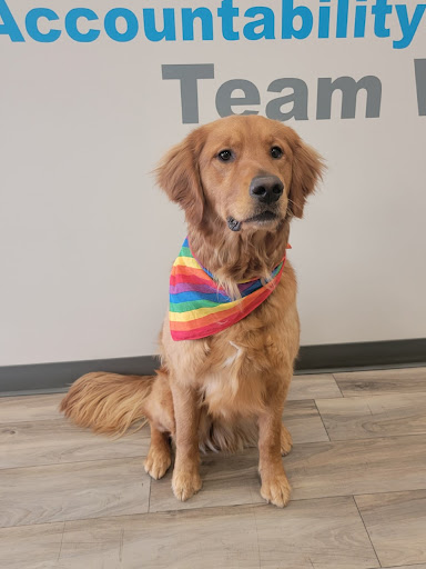 VCA Canada Riverbend Veterinary Hospital image