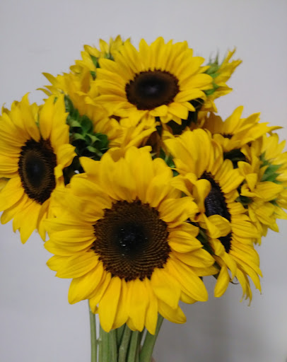 Florist «A Daisy A Day», reviews and photos, 749 Silas Creek Pkwy, Winston-Salem, NC 27127, USA