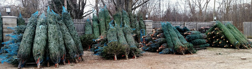 Byron Center Christmas Tree Lot