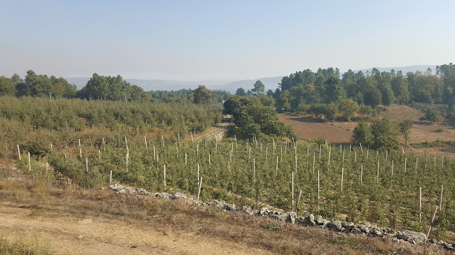 Sociedade Agrícola Pedra da Fraga, Lda - Castro Daire